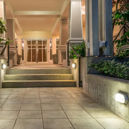 arandela tartaruga 6