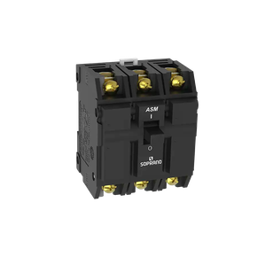 disjunto nema 3 polo