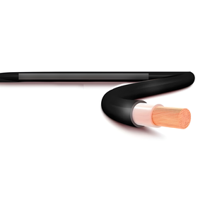 snapedit 1705415040101